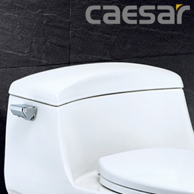 Nắp đậy thùng nước bồn cầu Caesar CD1357